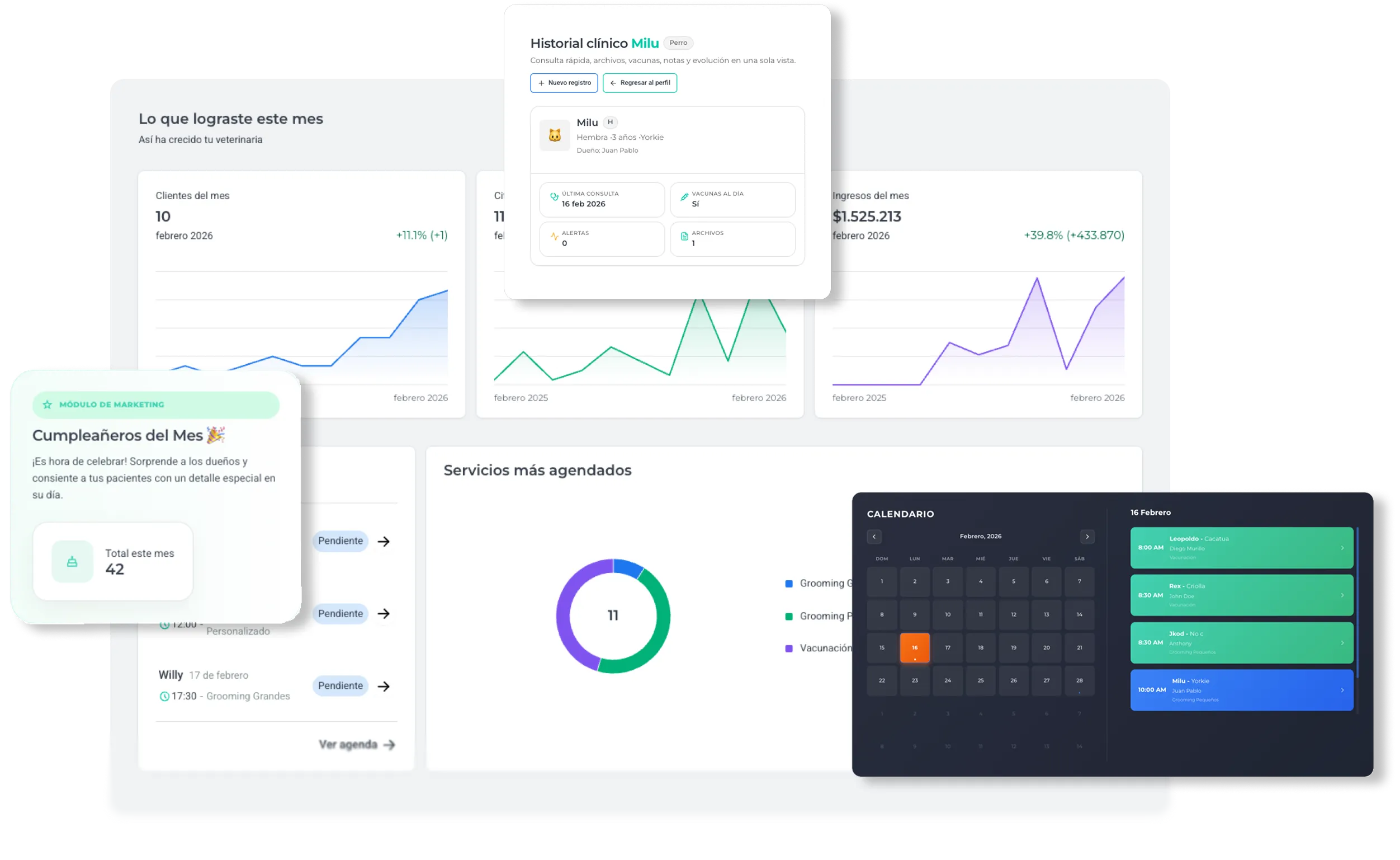 Vista de la plataforma