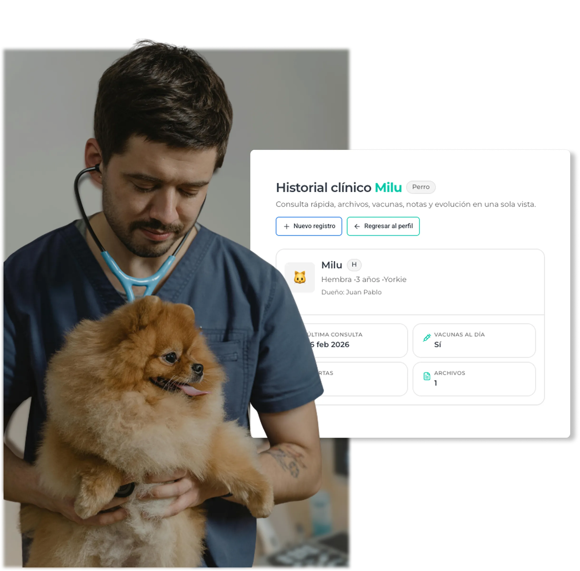 Cronología de historia clínica veterinaria con consultas, vacunas y notas en Wofy